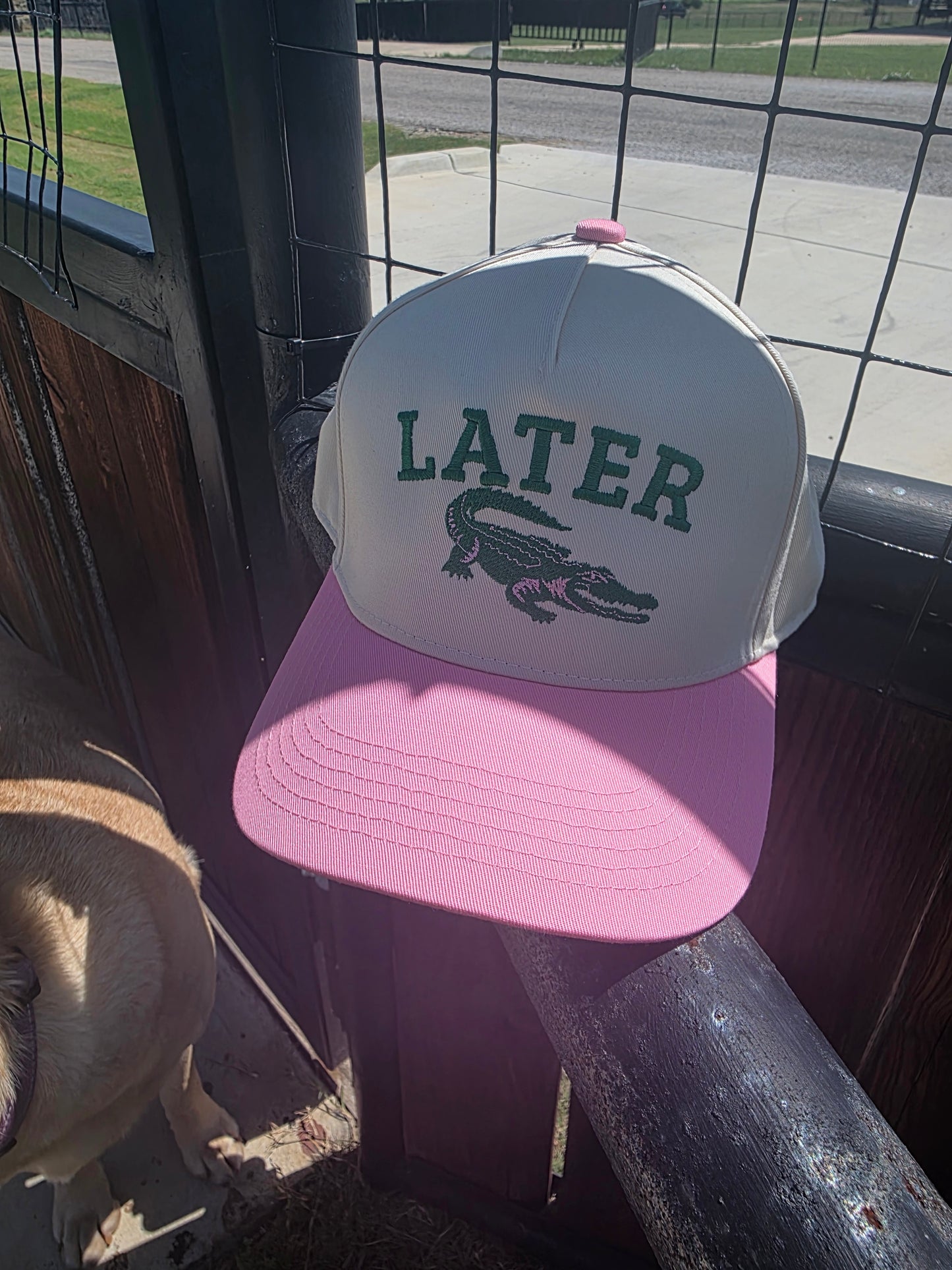 Later Gator Hat