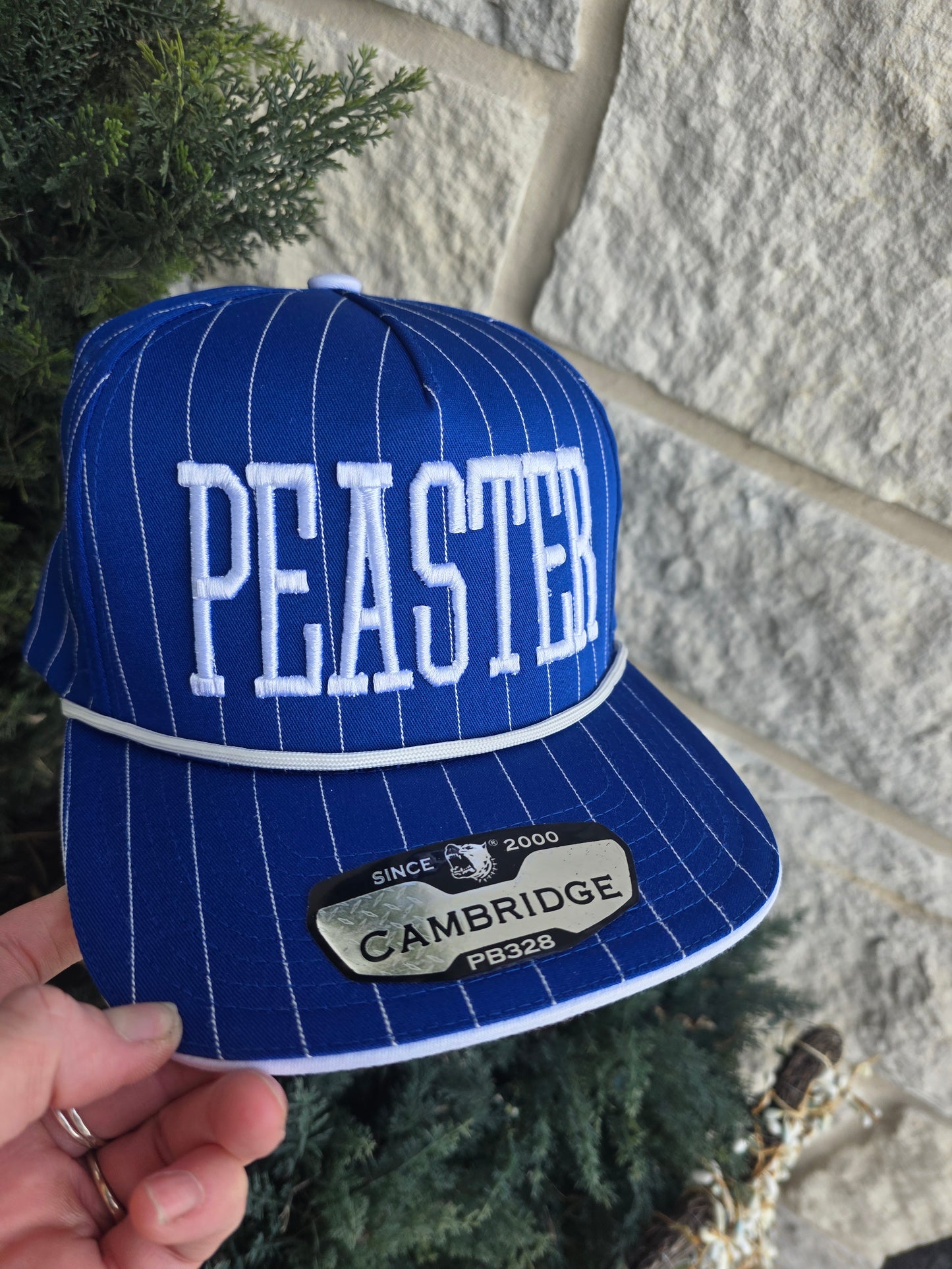 3D Puff Embroidered Pinstripe Rope Hat