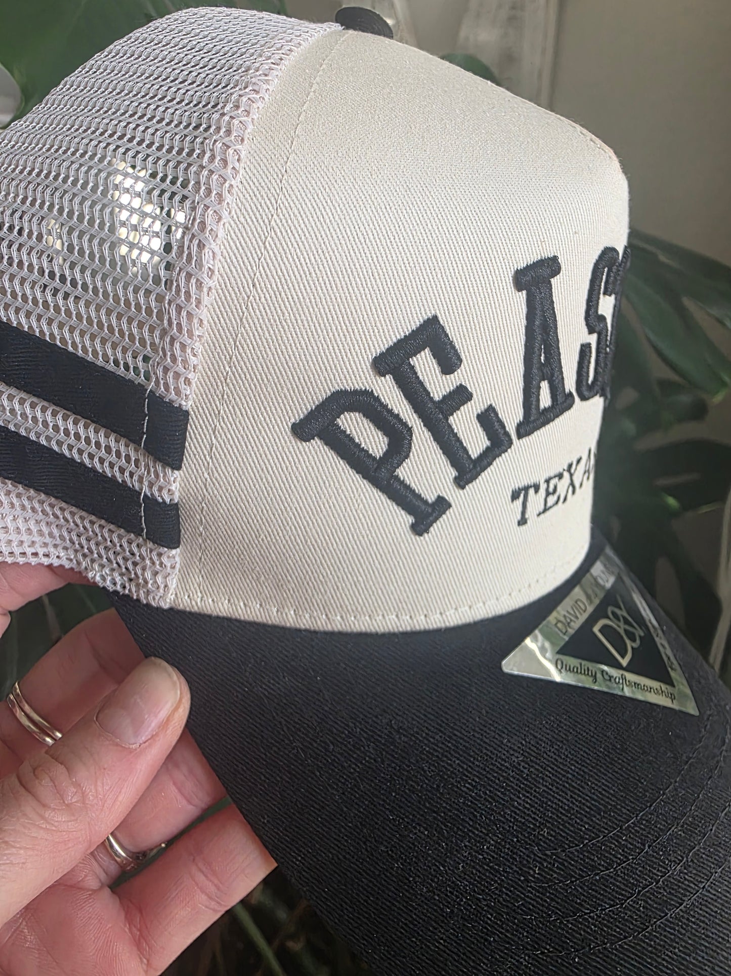 Double-Striped Puff Embroidered Hat