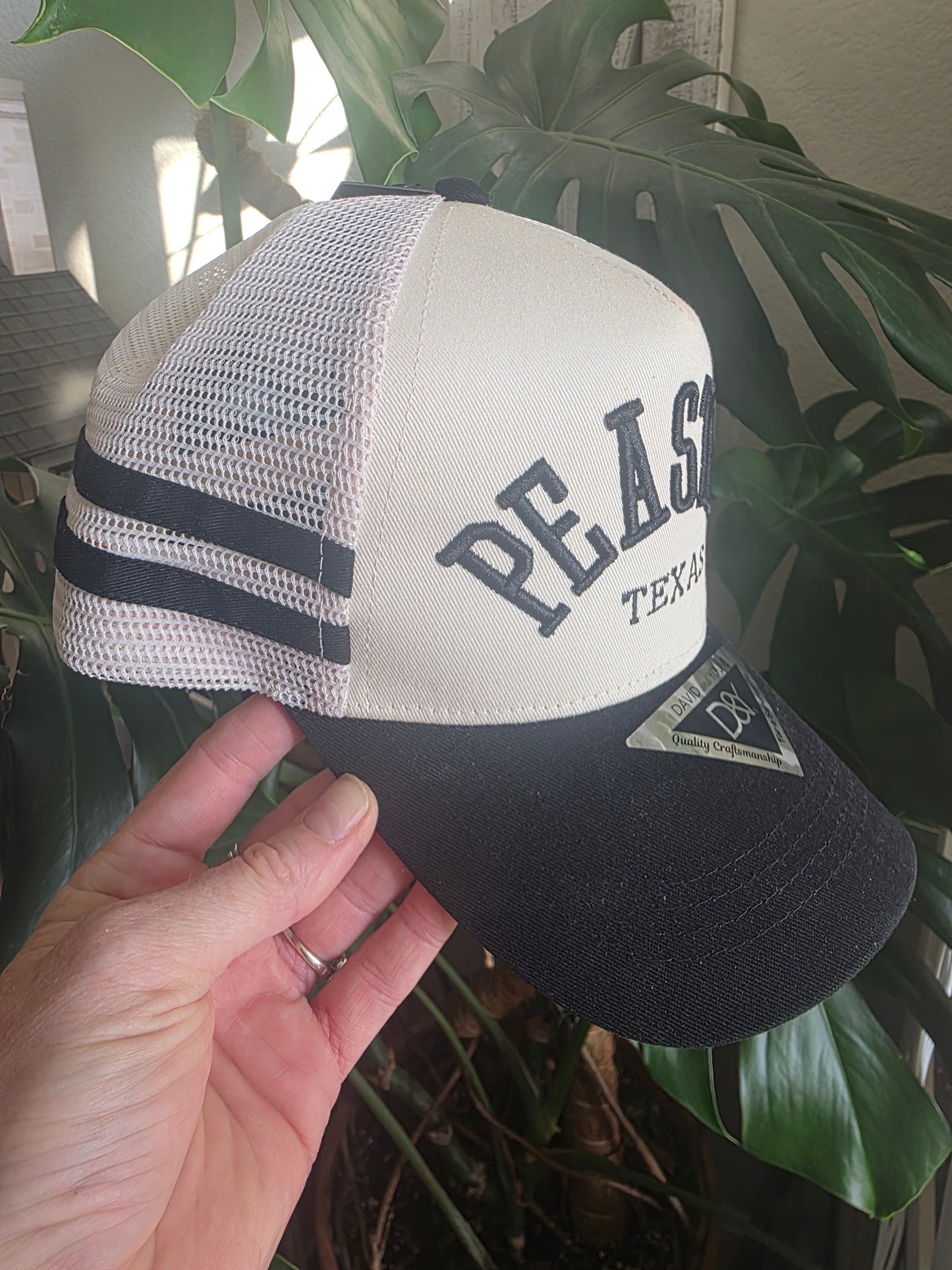 Double-Striped Puff Embroidered Hat