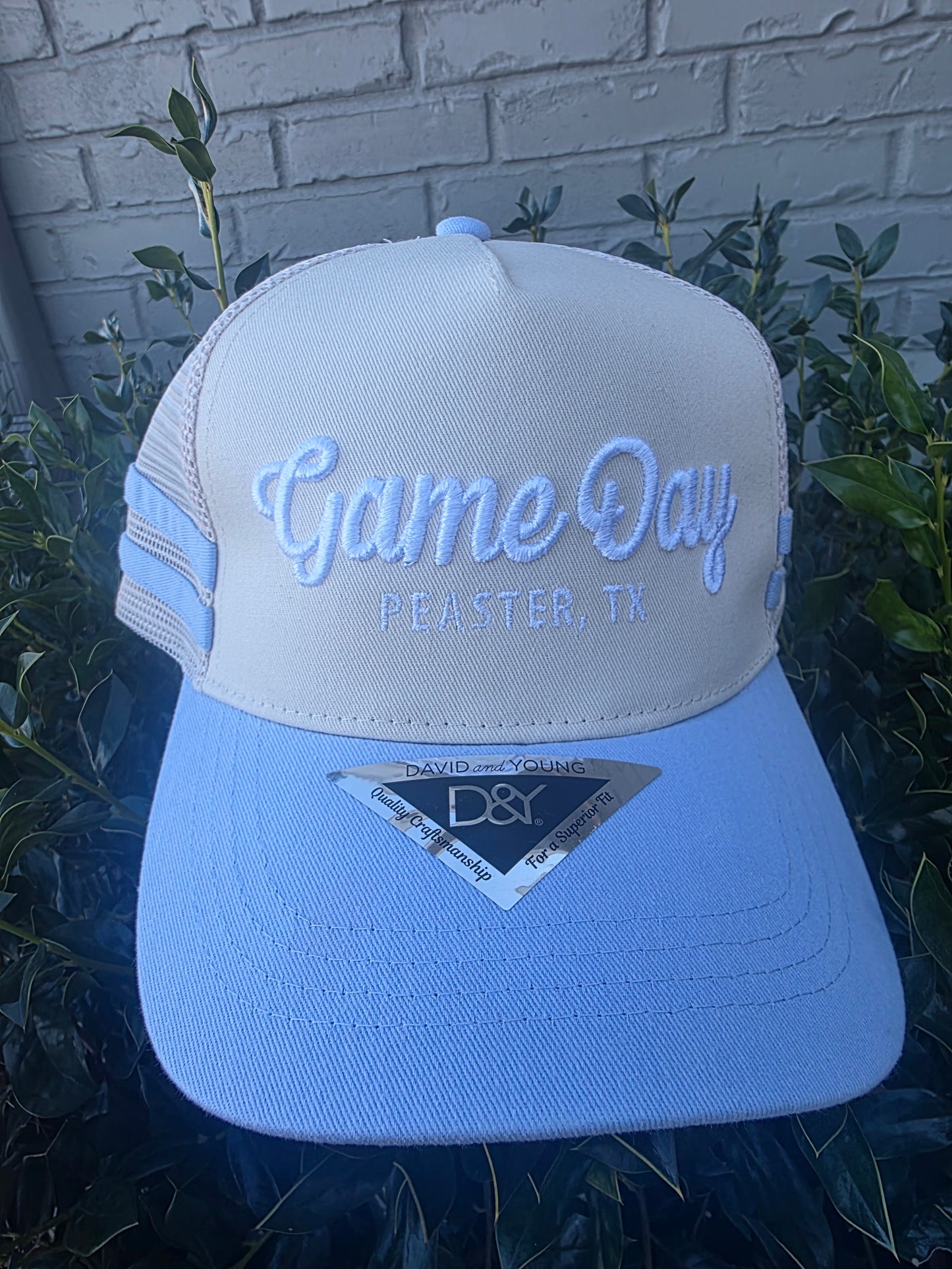 Custom Game Day 3d Embroidery on Stripe Hat