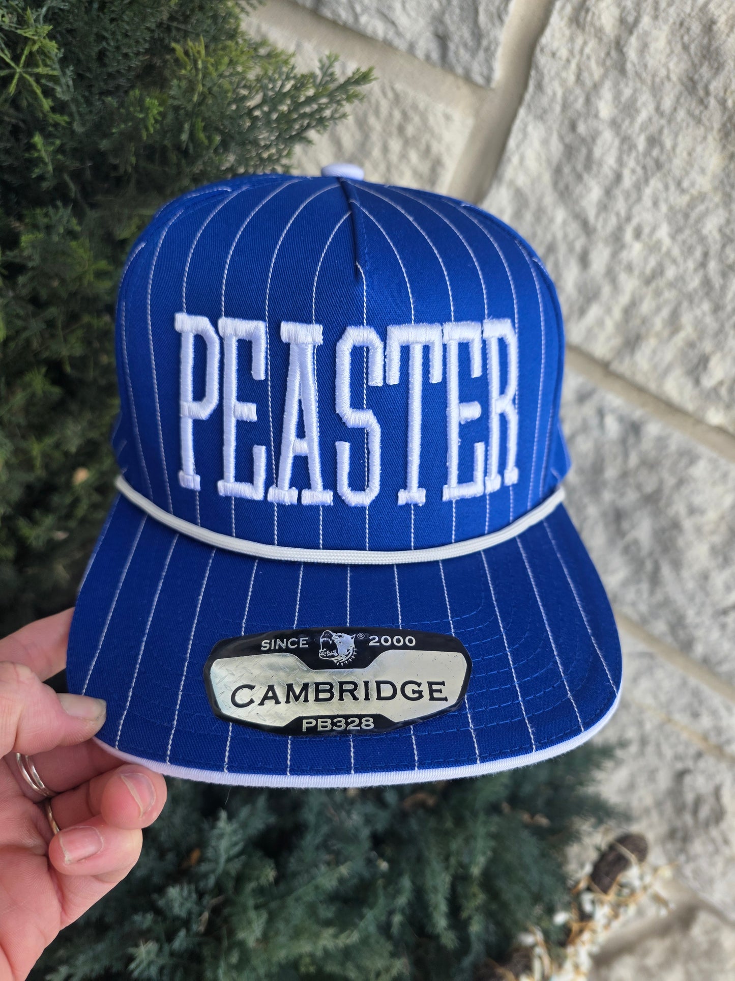 3D Puff Embroidered  Pinstripe Rope Hat