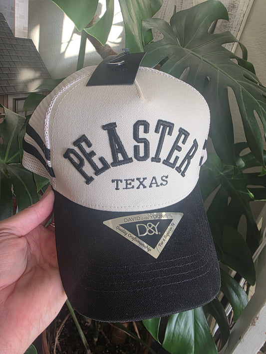 Double-Striped Puff Embroidered Hat